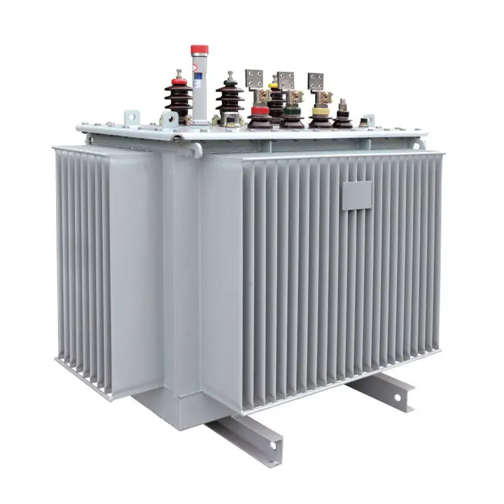 10kV olie-nedsænket transformer